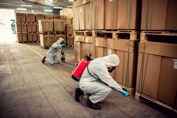 Best Pest Inspection Near Me  in Port Oconnor, TX