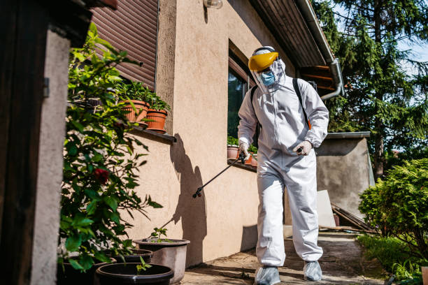Best Pest Prevention Services  in Port Oconnor, TX