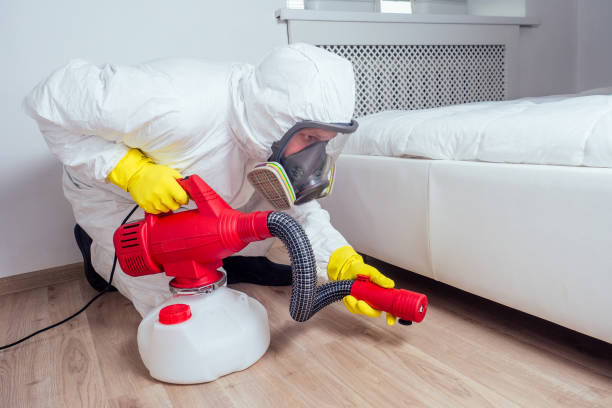Best Local Pest Control Services  in Port Oconnor, TX