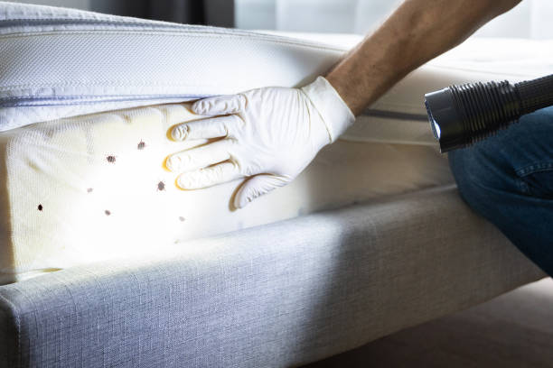 Best Emergency Pest Control  in Port Oconnor, TX